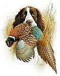 Одежда и снаряжение для охоты Deerhunter, JahtiJakt, Swedteam, Pinewood